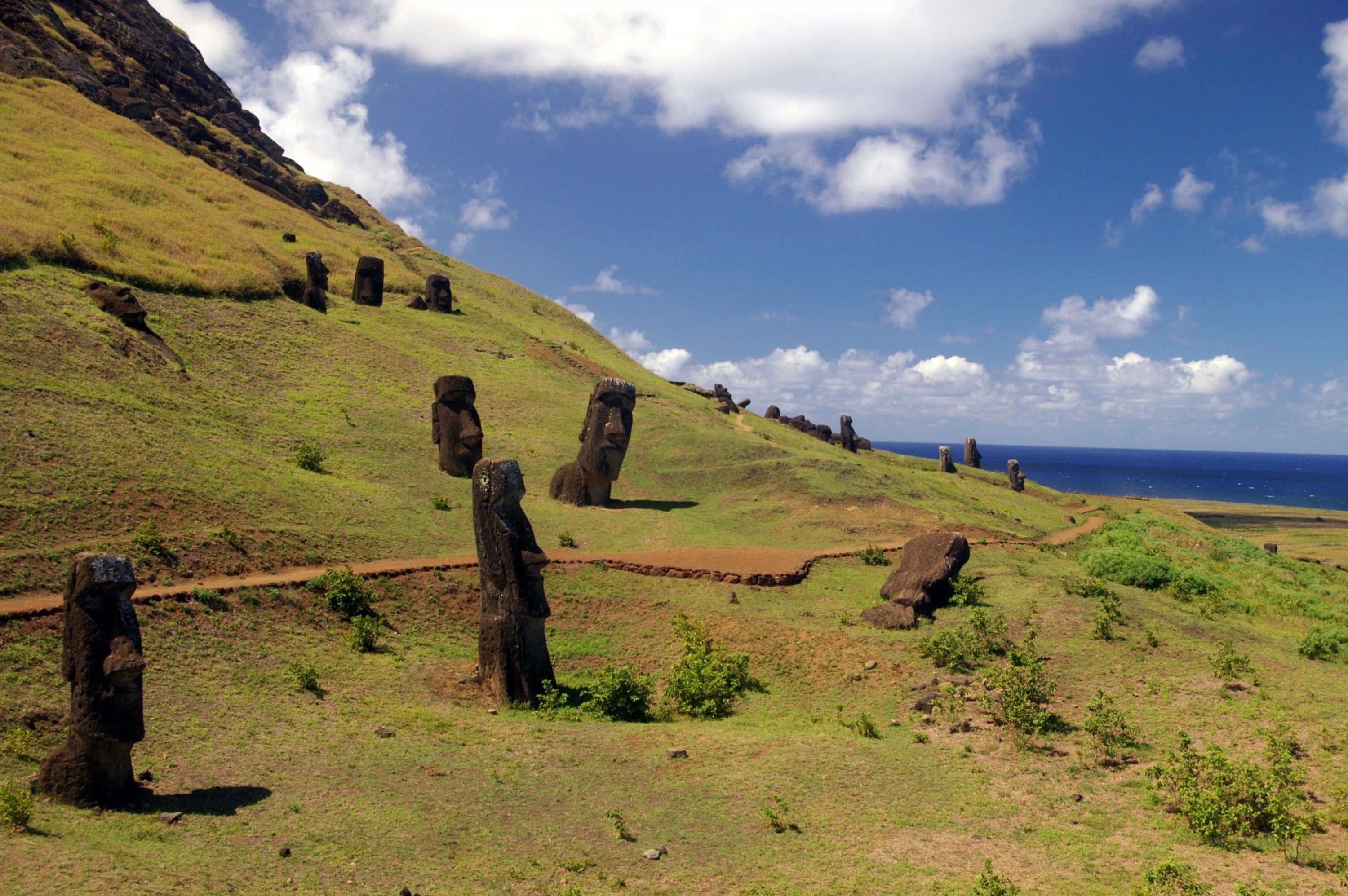Die Moai am Rano Raraku